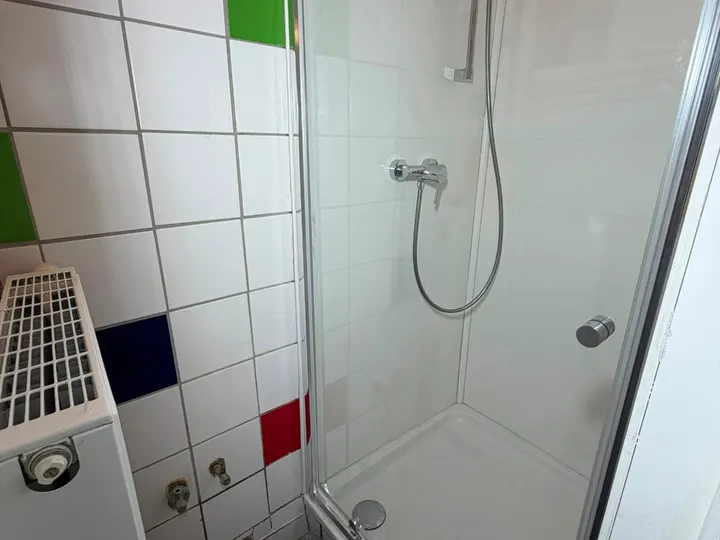 Douche vitrée dans la salle de bain du logement